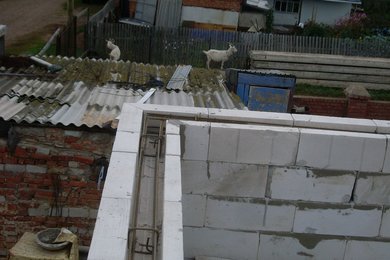 SL377329